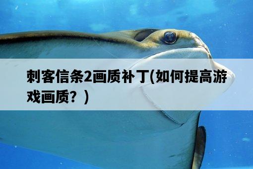 刺客信條2畫質補丁，如何提高游戲畫質？-圖1