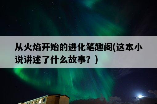 從火焰開始的進化筆趣閣，這本小說講述了什么故事？-圖1