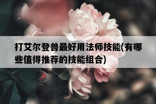 打艾爾登獸最好用法師技能，有哪些值得推薦的技能組合-圖1