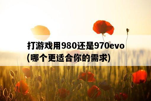 打游戲用980還是970evo，哪個更適合你的需求-圖1