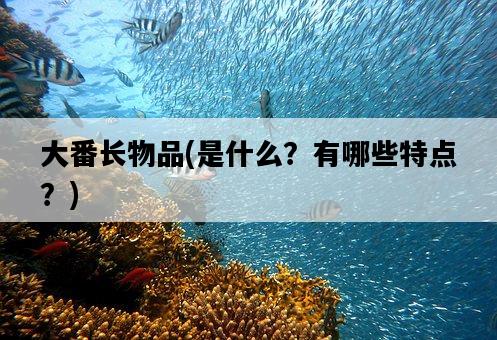 大番長物品，是什么？有哪些特點？-圖1