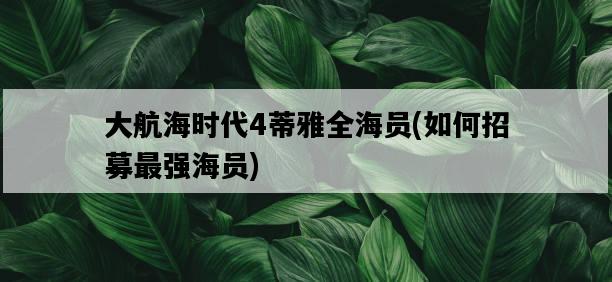 大航海時代4蒂雅全海員，如何招募最強海員-圖1