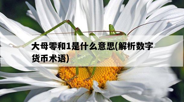大母零和1是什么意思，解析數字貨幣術語-圖1
