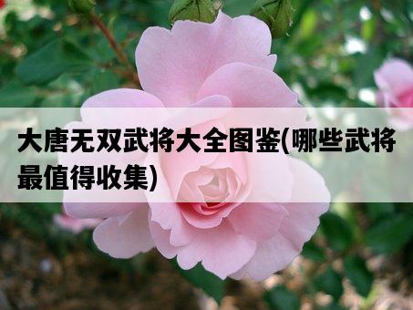 大唐無雙武將大全圖鑒，哪些武將最值得收集-圖1