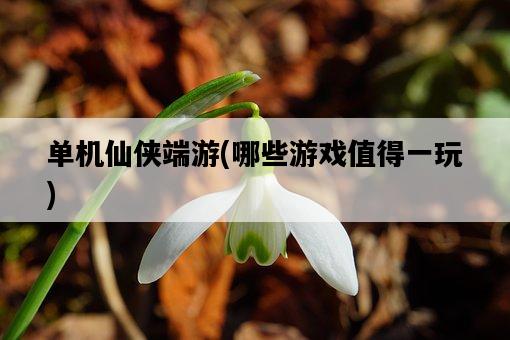 單機仙俠端游，哪些游戲值得一玩-圖1