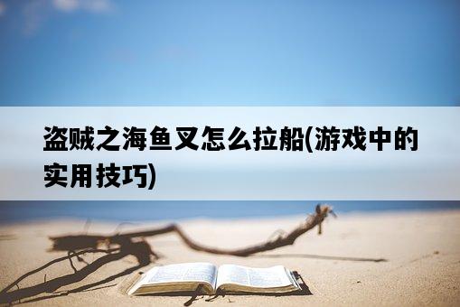 盜賊之海魚叉怎么拉船，游戲中的實用技巧-圖1