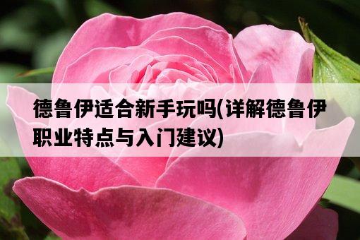 德魯伊適合新手玩嗎，詳解德魯伊職業特點與入門建議-圖1