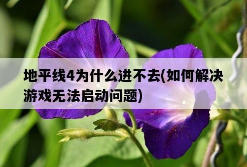 地平線4為什么進不去，如何解決游戲無法啟動問題-圖1