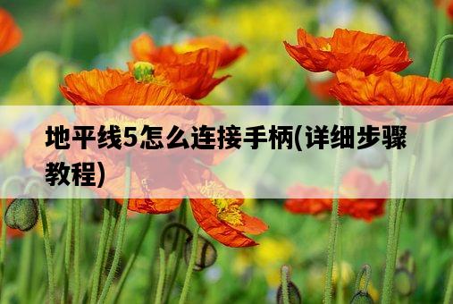地平線5怎么連接手柄，詳細步驟教程-圖1