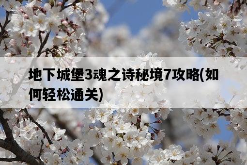 地下城堡3魂之詩秘境7攻略，如何輕松通關-圖1