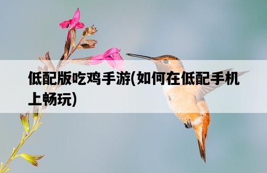 低配版吃雞手游，如何在低配手機上暢玩-圖1