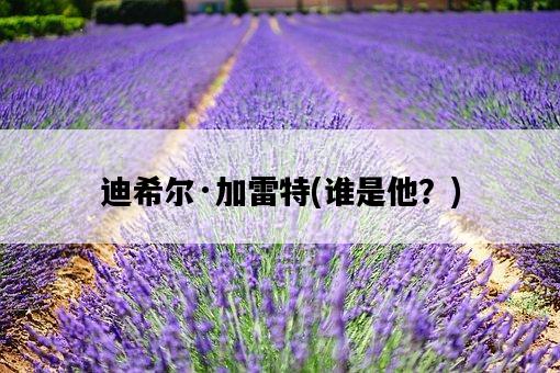 迪希爾·加雷特，誰是他？-圖1