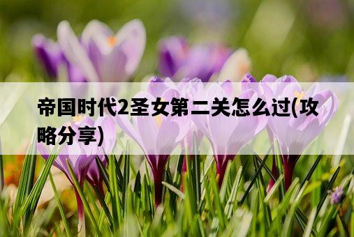 帝國時代2圣女第二關怎么過，攻略分享-圖1
