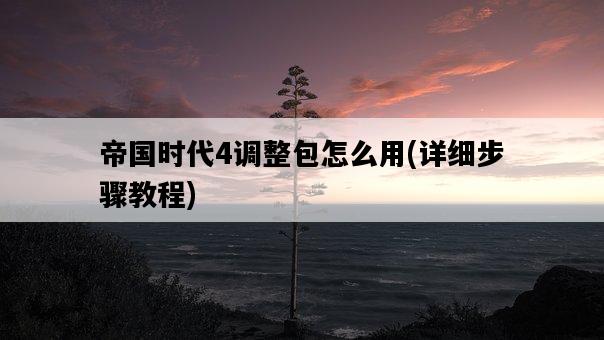 帝國時代4調整包怎么用，詳細步驟教程-圖1