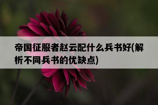 帝國征服者趙云配什么兵書好，解析不同兵書的優缺點-圖1