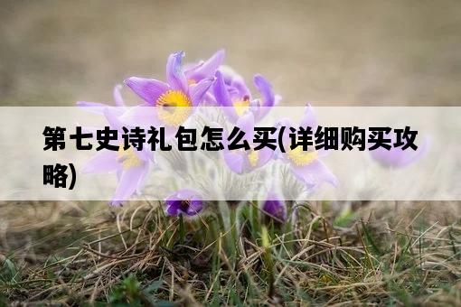 第七史詩禮包怎么買，詳細購買攻略-圖1