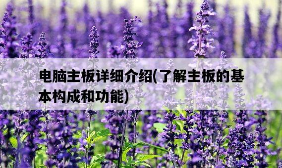電腦主板詳細介紹，了解主板的基本構成和功能-圖1