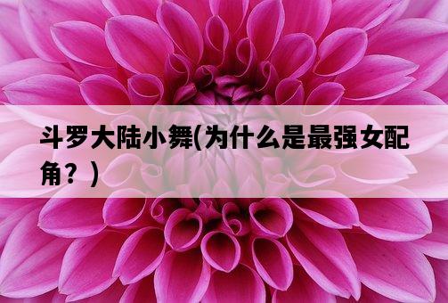 斗羅大陸小舞，為什么是最強女配角？-圖1