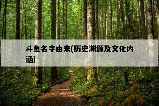 斗魚名字由來，歷史淵源及文化內涵-圖1