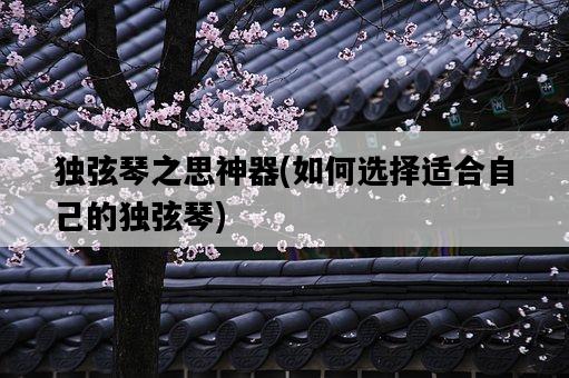 獨弦琴之思神器，如何選擇適合自己的獨弦琴-圖1