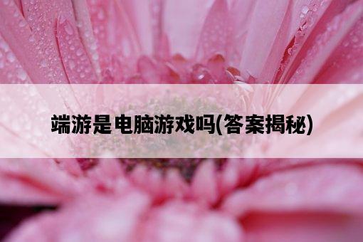 端游是電腦游戲嗎，答案揭秘-圖1