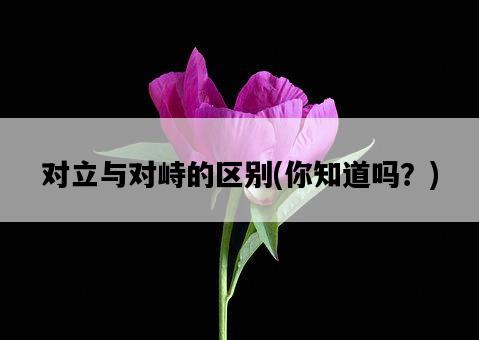 對立與對峙的區別，你知道嗎？-圖1
