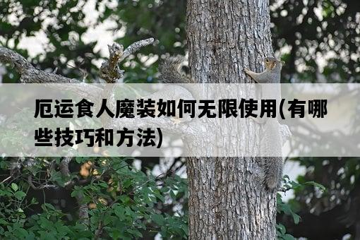厄運食人魔裝如何無限使用，有哪些技巧和方法-圖1