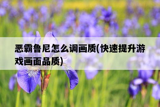 惡霸魯尼怎么調畫質，快速提升游戲畫面品質-圖1