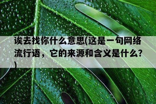 誒去找你什么意思，這是一句網絡流行語，它的來源和含義是什么？-圖1