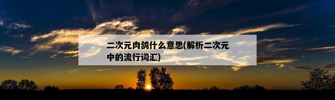 二次元肉鴿什么意思，解析二次元中的流行詞匯-圖1