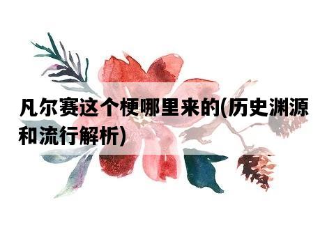 凡爾賽這個梗哪里來的，歷史淵源和流行解析-圖1