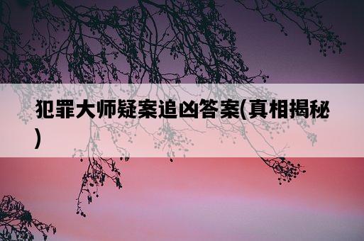 犯罪大師疑案追兇答案，真相揭秘-圖1