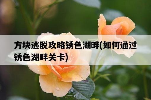 方塊逃脫攻略銹色湖畔，如何通過銹色湖畔關卡-圖1