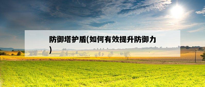 防御塔護盾，如何有效提升防御力-圖1
