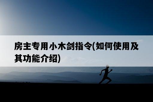 房主專用小木劍指令，如何使用及其功能介紹-圖1