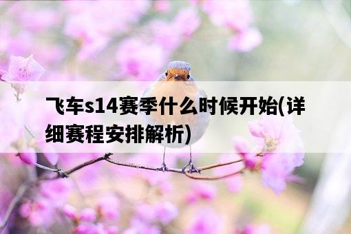 飛車s14賽季什么時候開始，詳細賽程安排解析-圖1