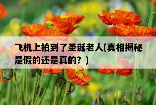飛機上拍到了圣誕老人，真相揭秘是假的還是真的？-圖1