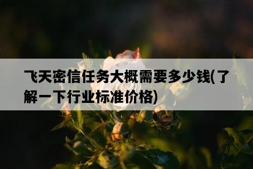 飛天密信任務大概需要多少錢，了解一下行業標準價格-圖1