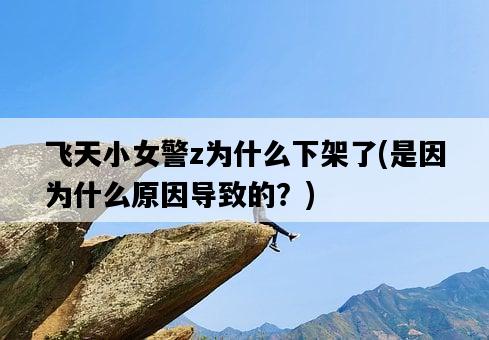 飛天小女警z為什么下架了，是因為什么原因導致的？-圖1