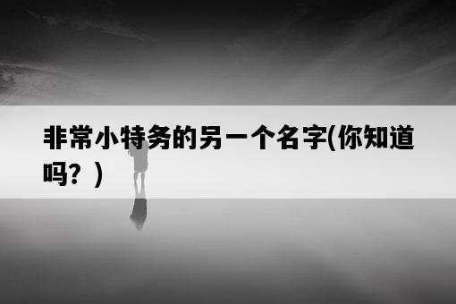 非常小特務的另一個名字，你知道嗎？-圖1