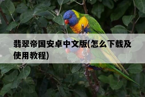 翡翠帝國安卓中文版，怎么下載及使用教程-圖1
