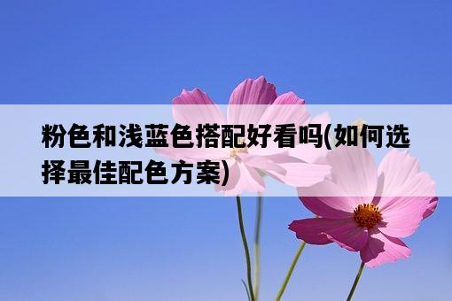 粉色和淺藍色搭配好看嗎，如何選擇最佳配色方案-圖1