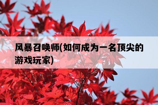 風暴召喚師，如何成為一名頂尖的游戲玩家-圖1