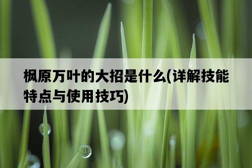 楓原萬葉的大招是什么，詳解技能特點與使用技巧-圖1