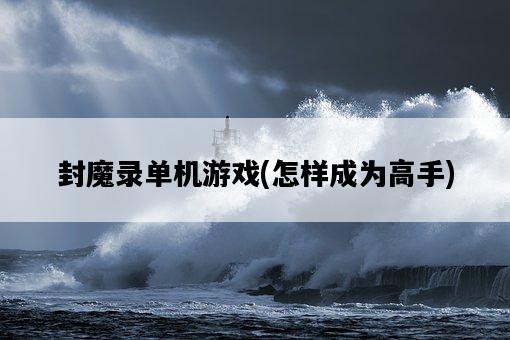 封魔錄單機游戲，怎樣成為高手-圖1