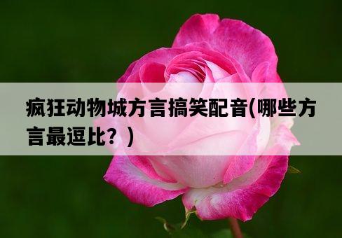 瘋狂動物城方言搞笑配音，哪些方言最逗比？-圖1