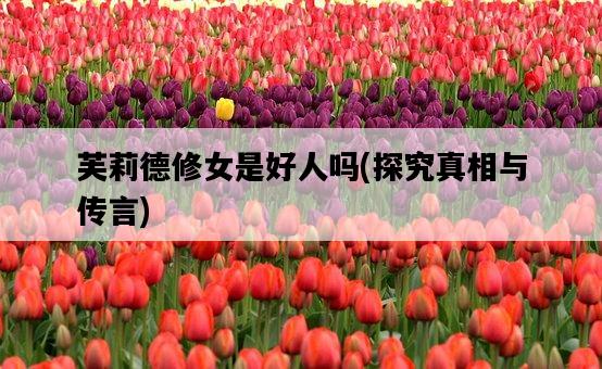 芙莉德修女是好人嗎，探究真相與傳言-圖1
