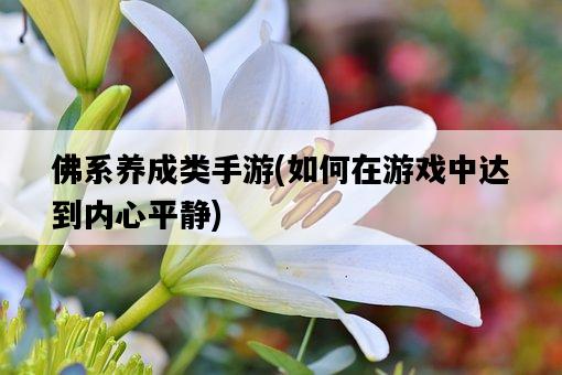 佛系養成類手游，如何在游戲中達到內心平靜-圖1