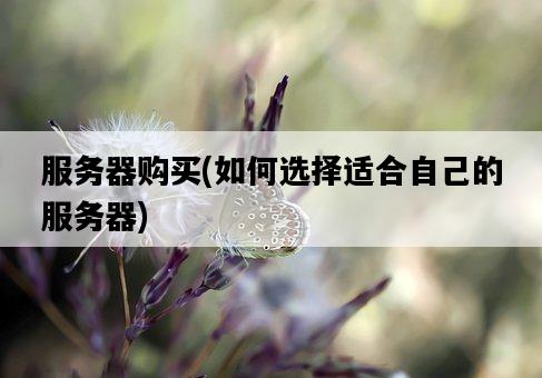 服務器購買，如何選擇適合自己的服務器-圖1