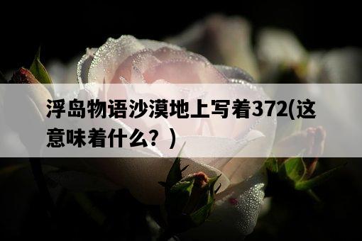 浮島物語沙漠地上寫著372，這意味著什么？-圖1